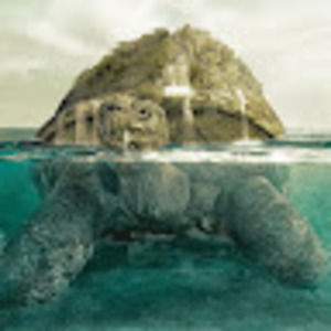 Meet your Posher, Tom